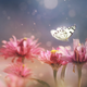 Illustration for article titled Ethereal Insect Photographs Will Cure Your Phobia of Bugs